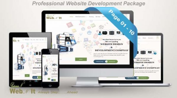 Professional Website Development Package