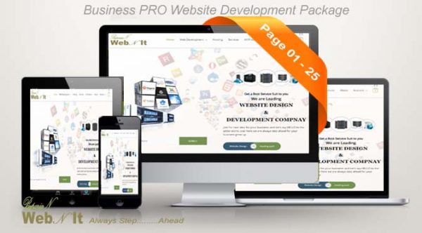 Business Website Design & HOSTING Package