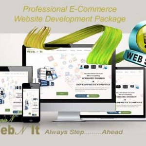 Professional E-Commerce Website Development Package